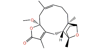 Pachyclavulariolide D